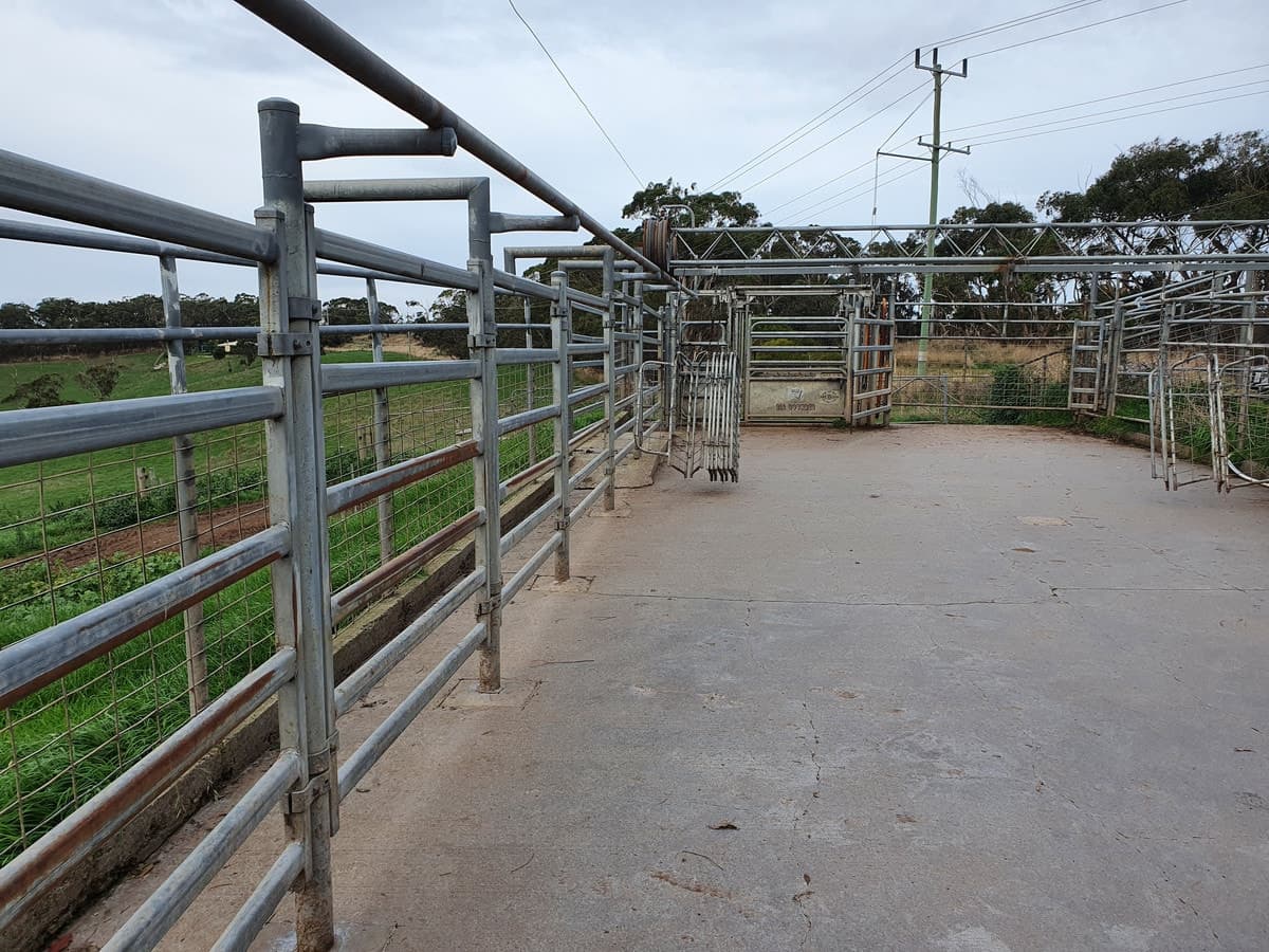 lot 2/251 Cooriemungle Road, Cooriemungle, VIC, Cooriemungle - Thumbnail 4