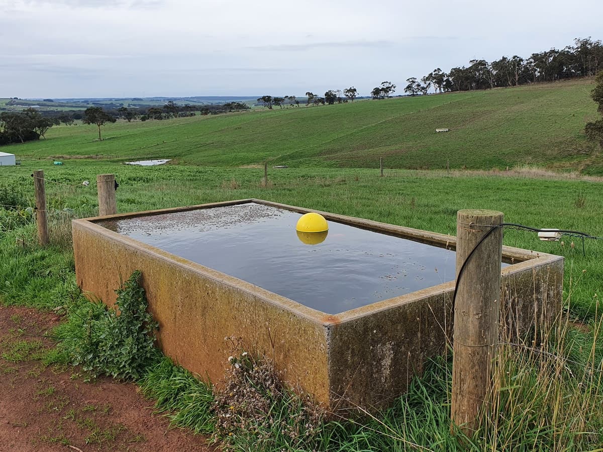 lot 2/251 Cooriemungle Road, Cooriemungle, VIC, Cooriemungle - Thumbnail 6