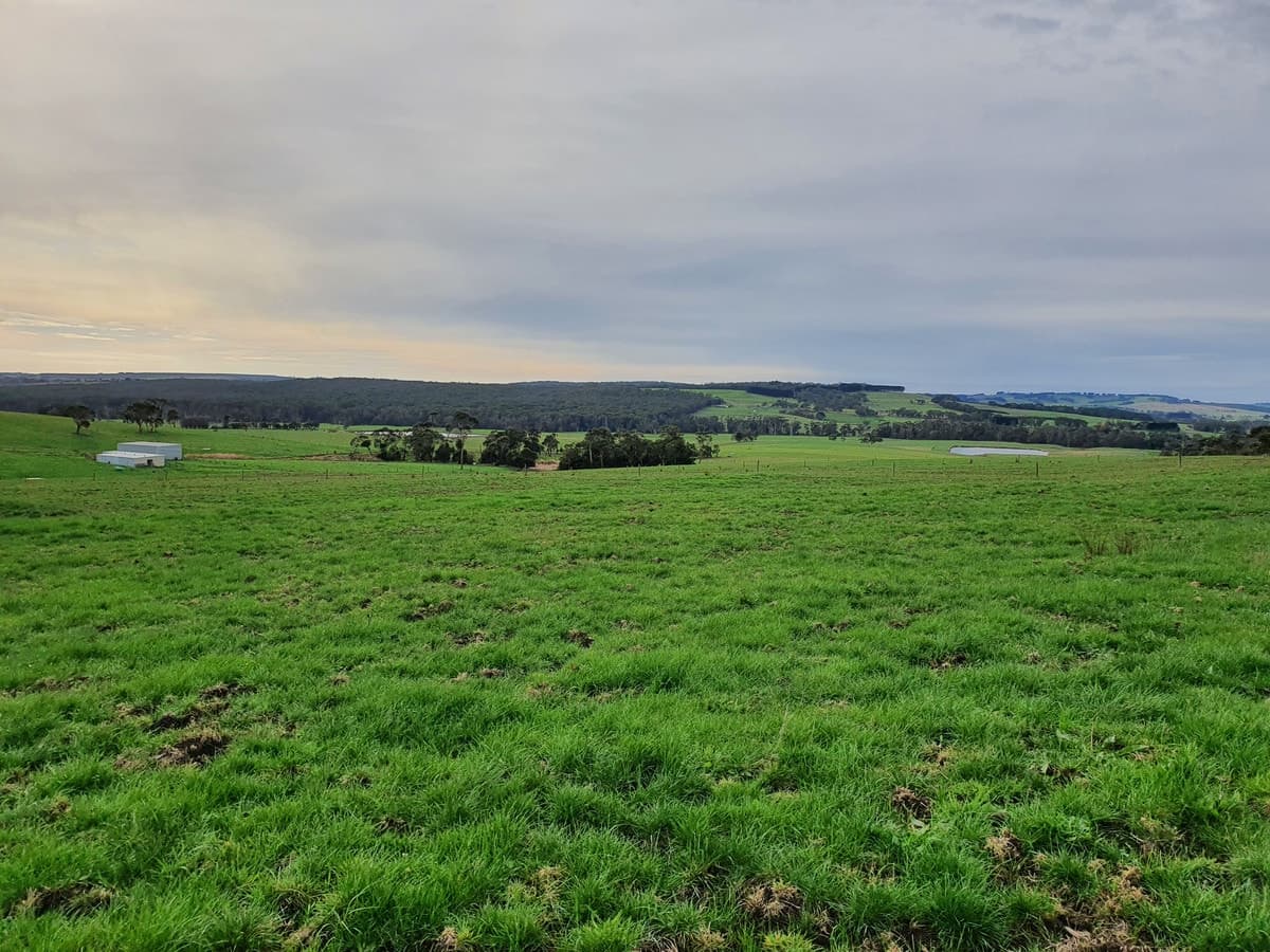 lot 2/251 Cooriemungle Road, Cooriemungle, VIC, Cooriemungle - Thumbnail 7