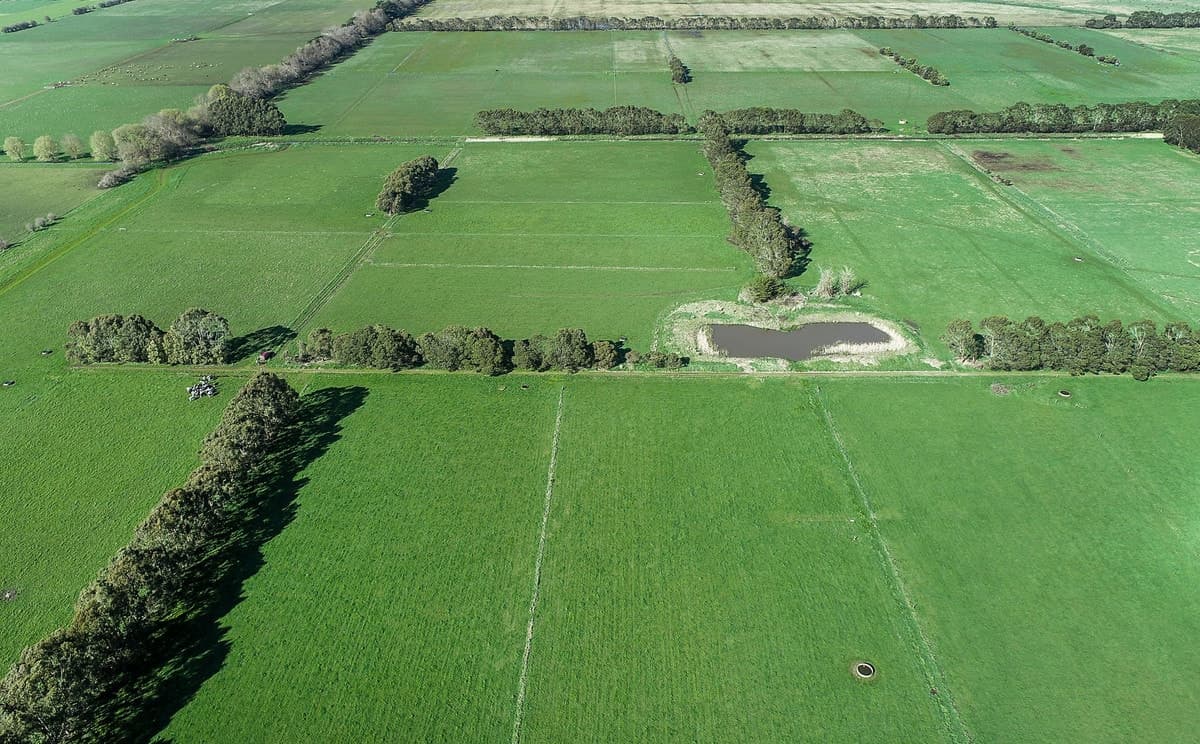 Swan Marsh Road, Swan Marsh, VIC, Swan Marsh - Thumbnail 3