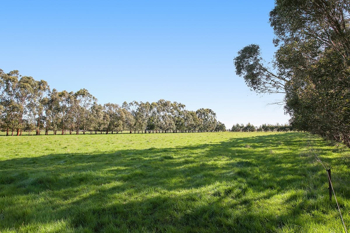 Swan Marsh Road, Swan Marsh, VIC, Swan Marsh - Thumbnail 4