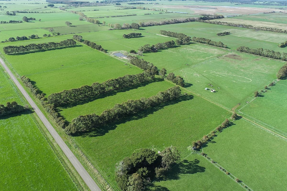 Swan Marsh Road, Swan Marsh, VIC, Swan Marsh - Thumbnail 5