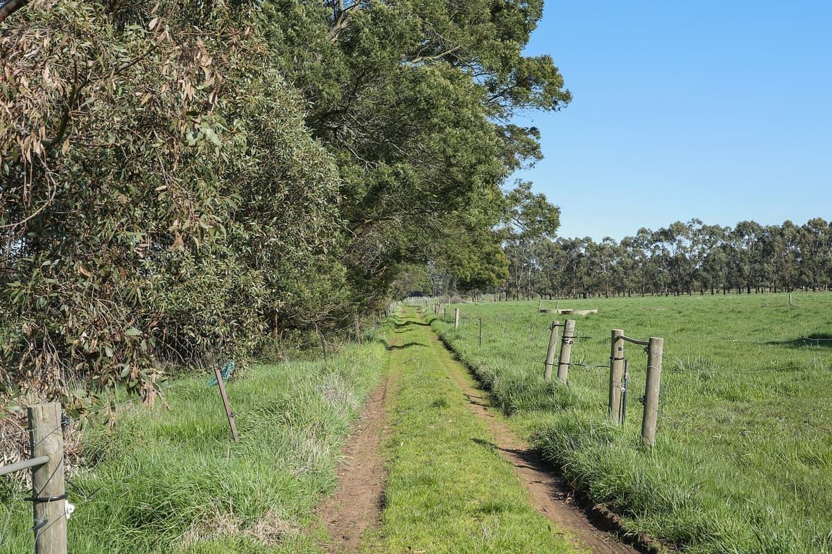 Swan Marsh Road, Swan Marsh, VIC, Swan Marsh - Thumbnail 6