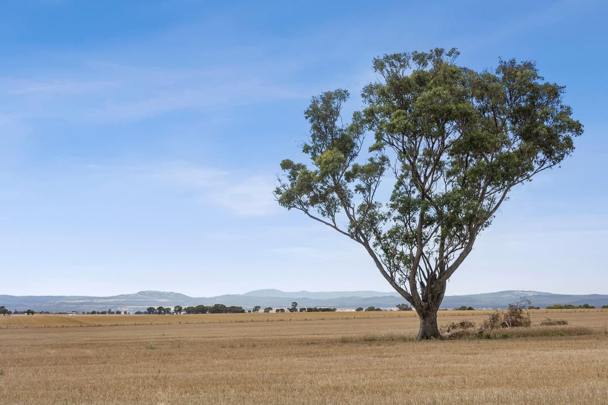 Glenmore Road & Schultz Road, Rowsley, VIC, Rowsley - Thumbnail 3