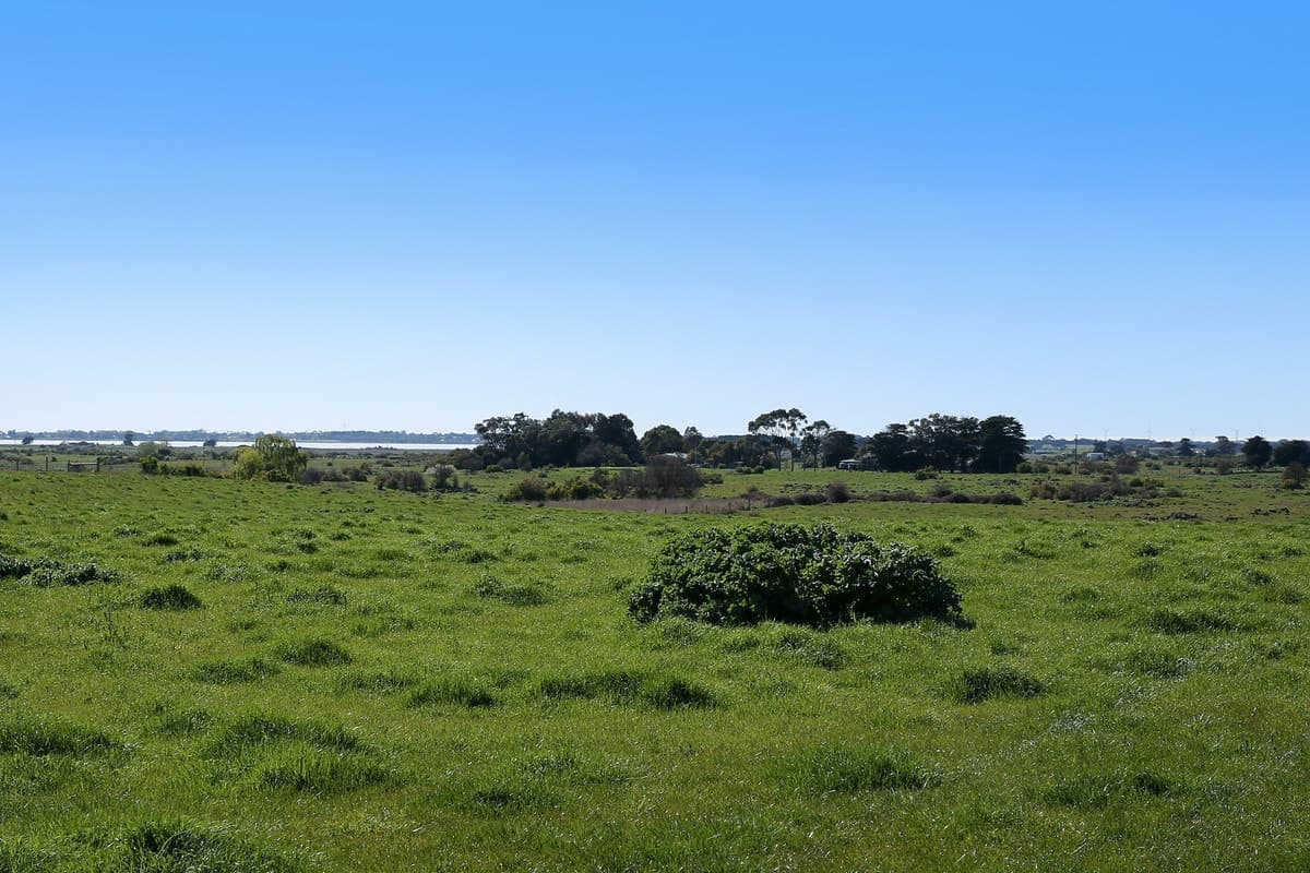 495 & 540 Coragulac-Beeac Road, Warrion, VIC, Warrion - Thumbnail 3