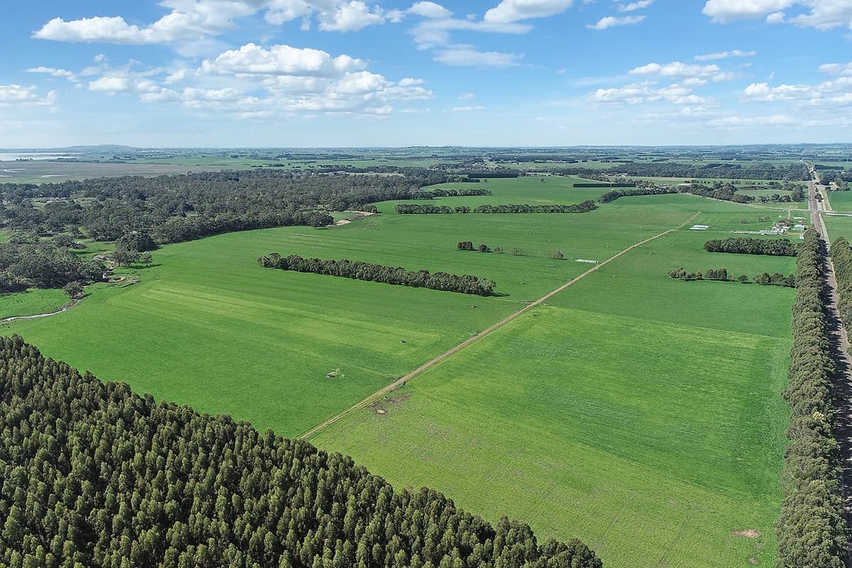 240 Swan Marsh Road, Pirron Yallock, VIC, Pirron Yallock - Image 1