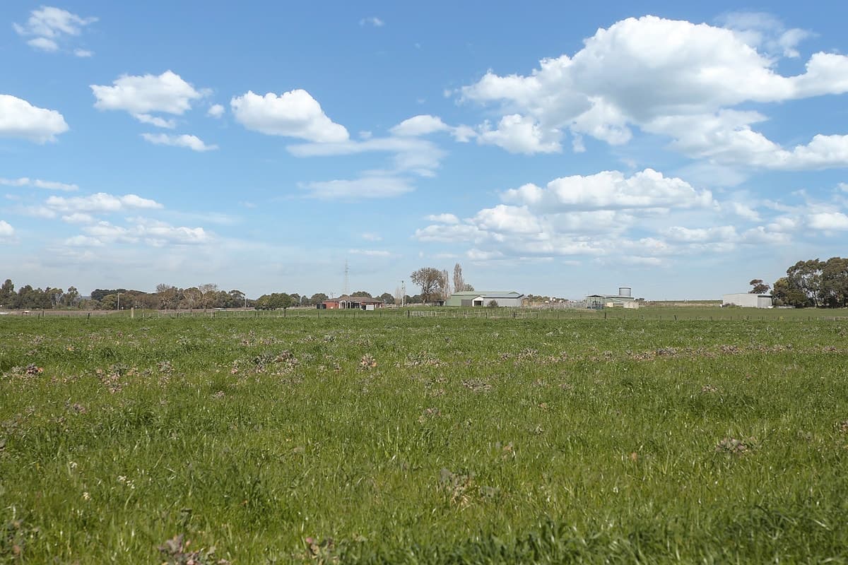 240 Swan Marsh Road, Pirron Yallock, VIC, Pirron Yallock - Thumbnail 3