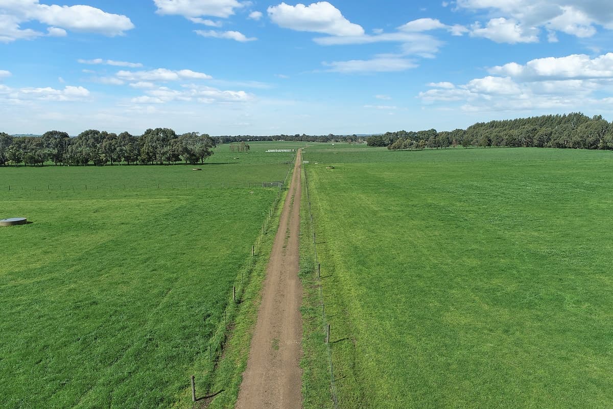 240 Swan Marsh Road, Pirron Yallock, VIC, Pirron Yallock - Thumbnail 4