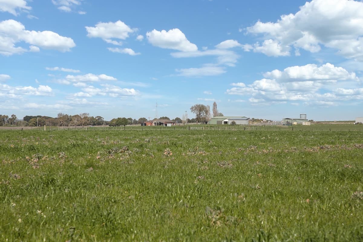 240 Swan Marsh Road, Pirron Yallock, VIC, Pirron Yallock - Thumbnail 6