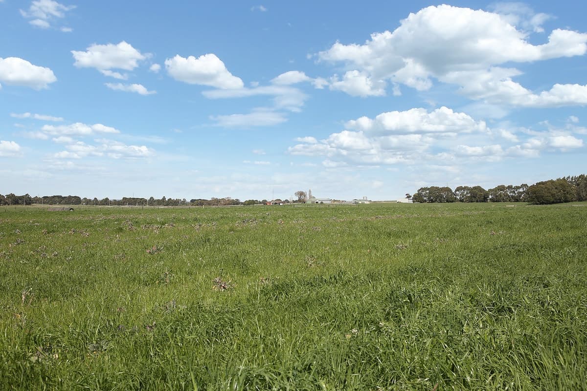 240 Swan Marsh Road, Pirron Yallock, VIC, Pirron Yallock - Thumbnail 7