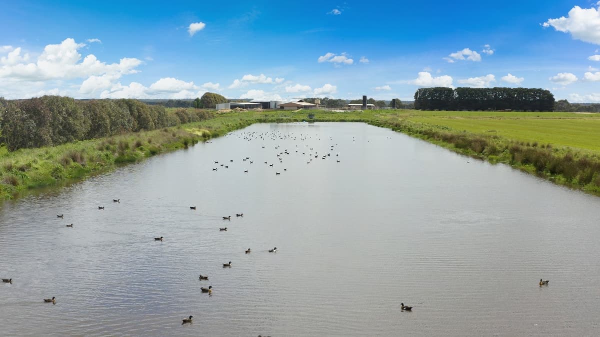 1150 Carpendeit Bungador Road, Swan Marsh, VIC, Swan Marsh - Thumbnail 2