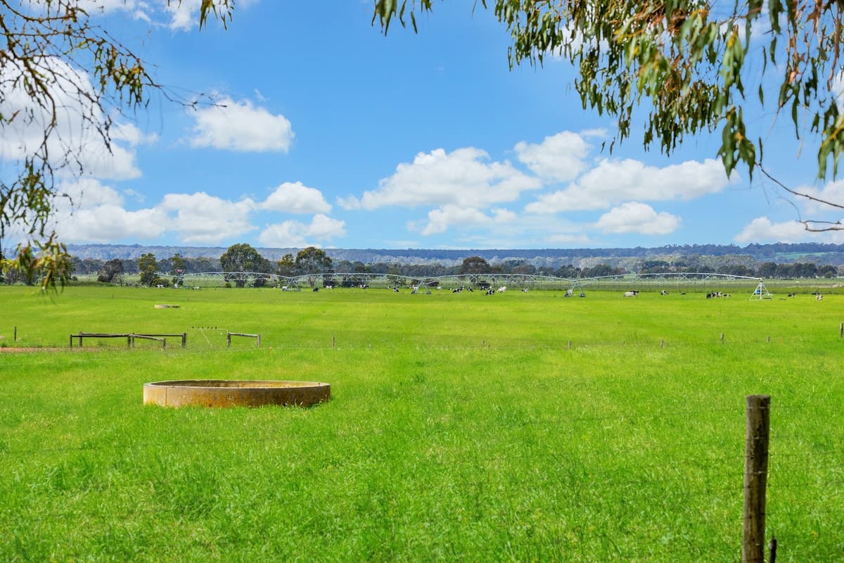 1150 Carpendeit Bungador Road, Swan Marsh, VIC, Swan Marsh - Thumbnail 3