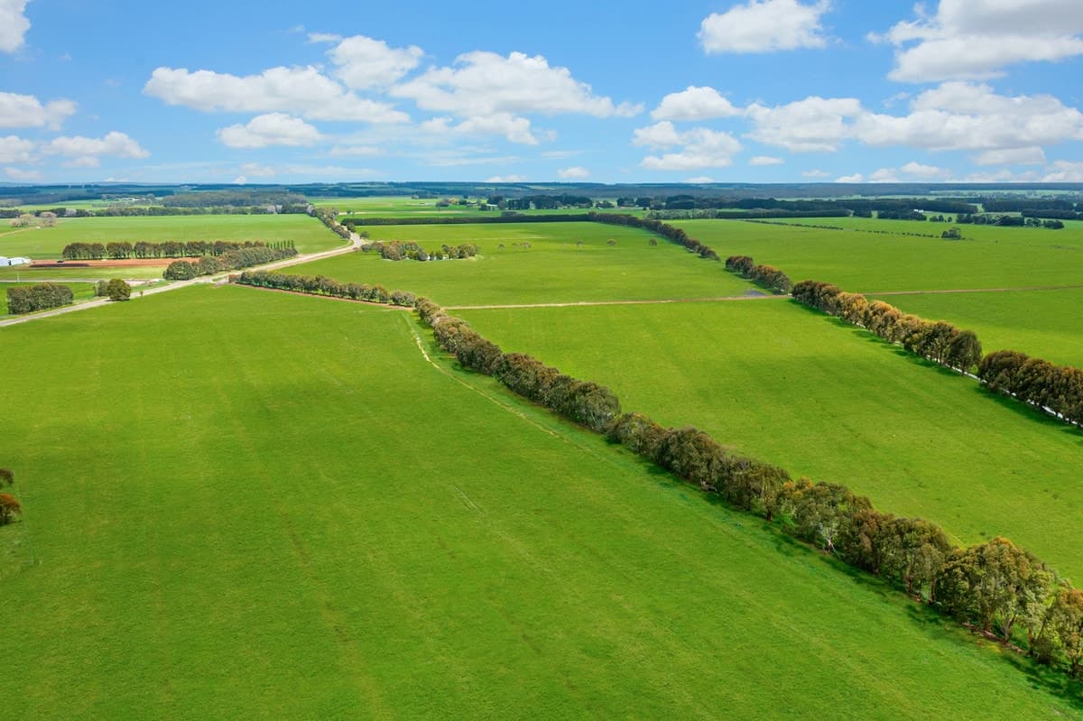 1150 Carpendeit Bungador Road, Swan Marsh, VIC, Swan Marsh - Thumbnail 7