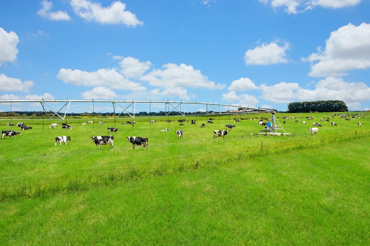 1150 Carpendeit Bungador Road, Swan Marsh, VIC, Swan Marsh - Thumbnail 8