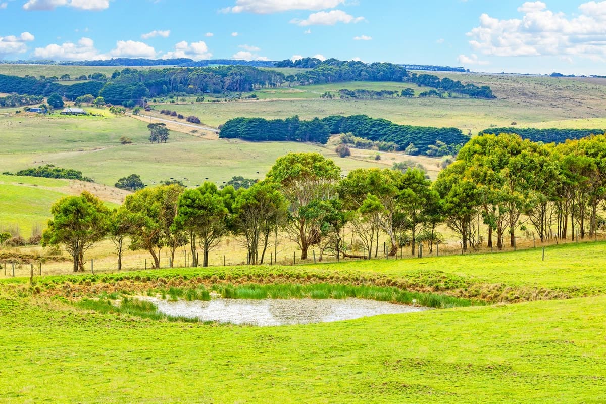 Cobden-Port Campbell Road, Port Campbell, VIC, Port Campbell - Thumbnail 6