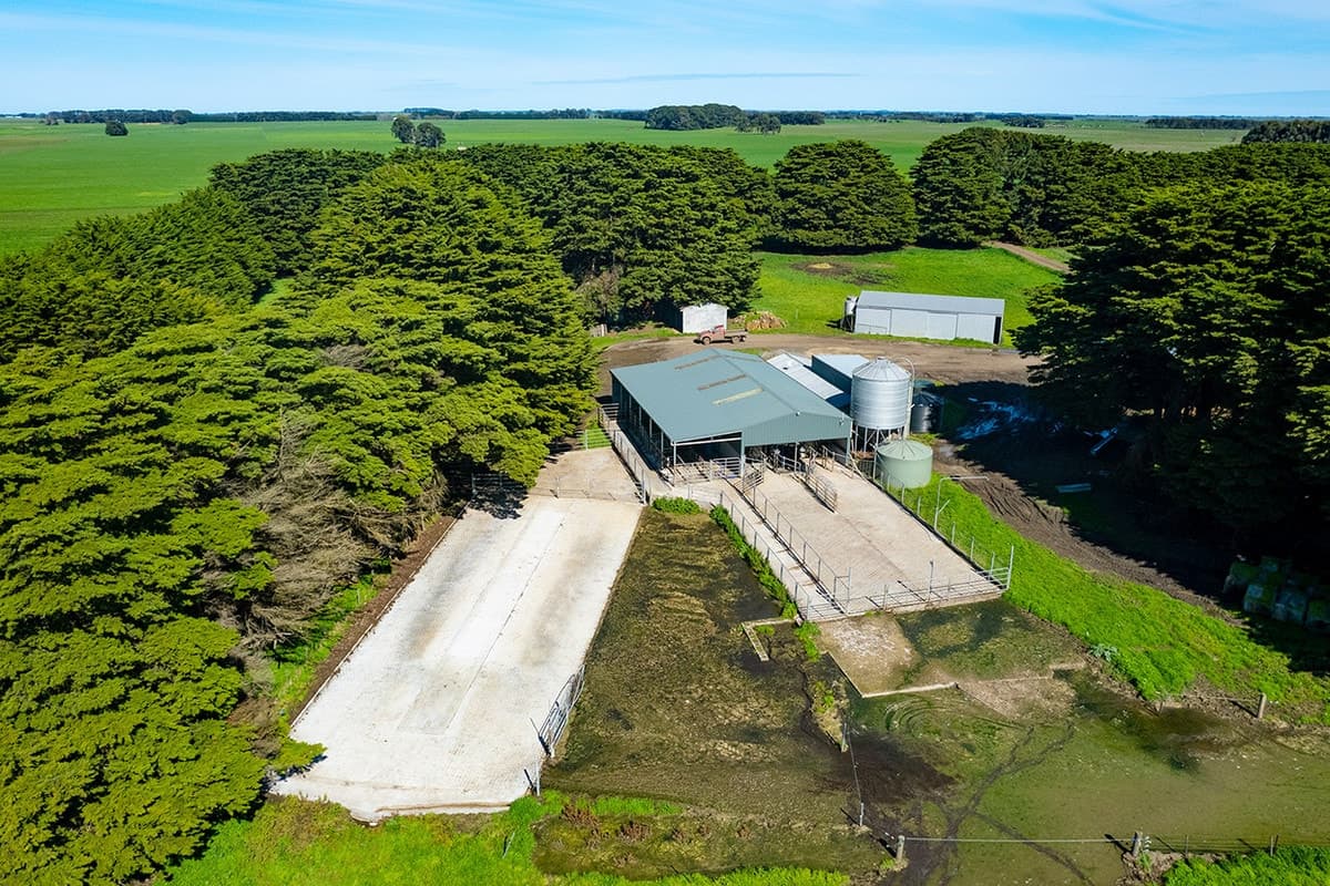 519 Tarrone Lane, Tarrone, VIC, Tarrone - Thumbnail 4