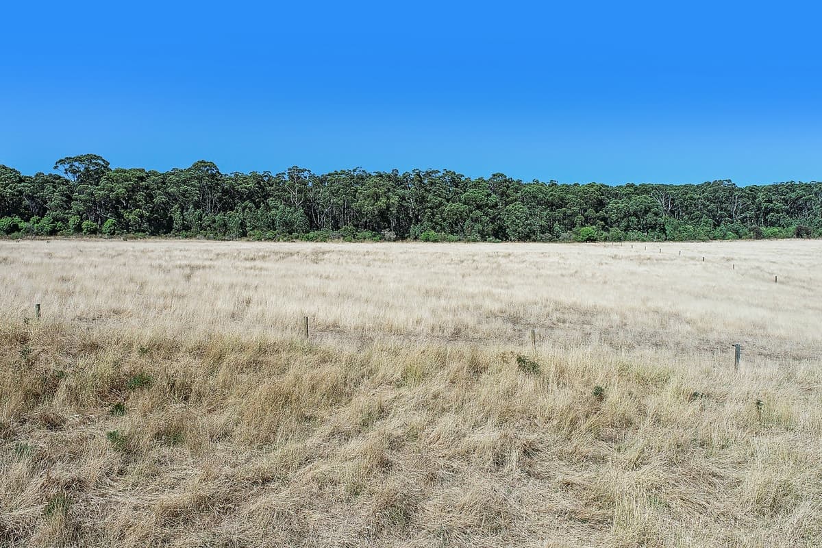 Boorook Road, Cooriemungle, VIC, Cooriemungle - Thumbnail 3