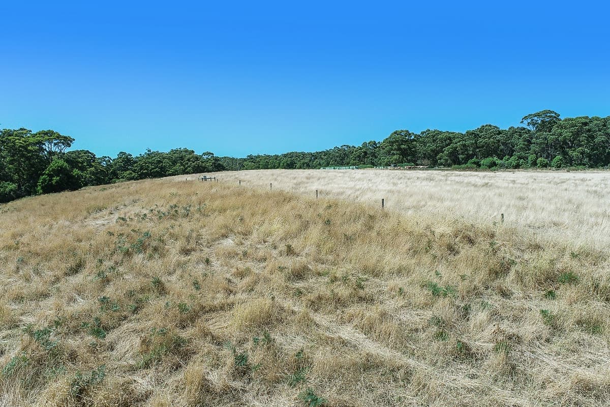 Boorook Road, Cooriemungle, VIC, Cooriemungle - Thumbnail 5