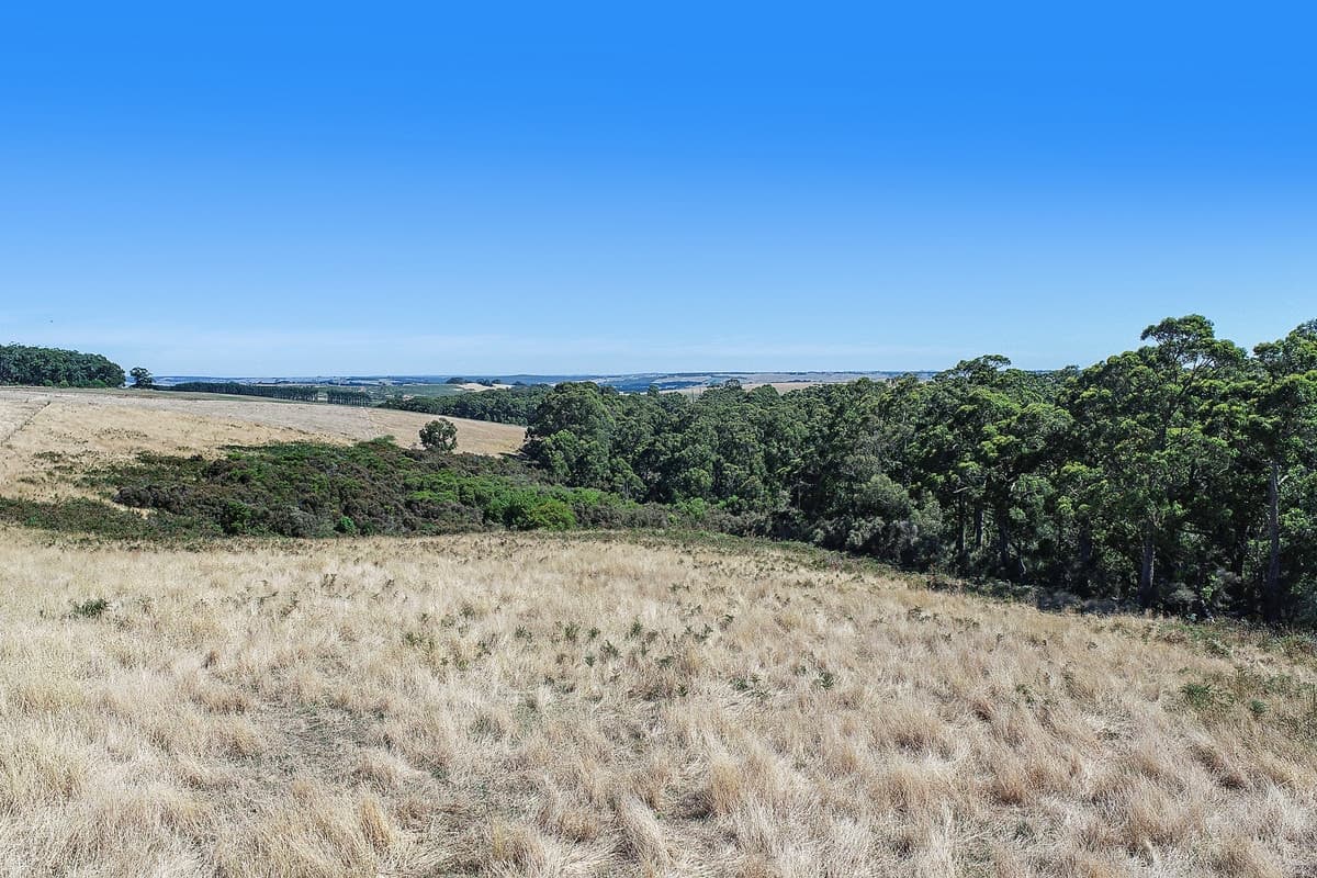Boorook Road, Cooriemungle, VIC, Cooriemungle - Thumbnail 7