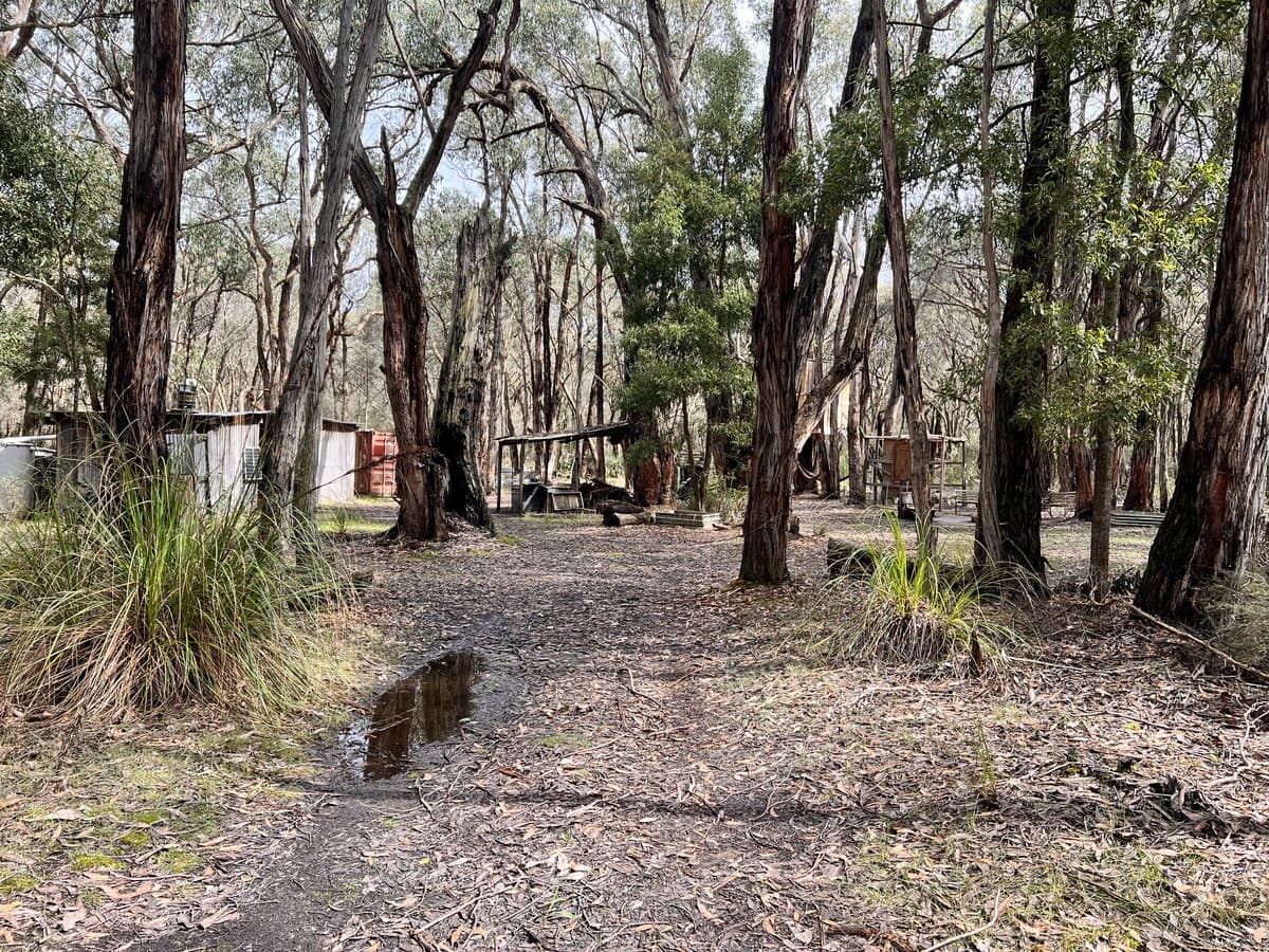 50 Possum Ridge Road, Yeodene, VIC, Yeodene - Image 1
