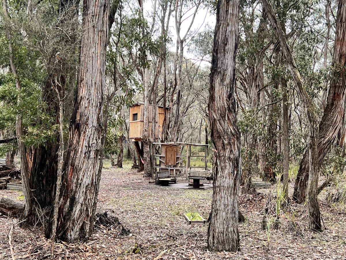 50 Possum Ridge Road, Yeodene, VIC, Yeodene - Thumbnail 3