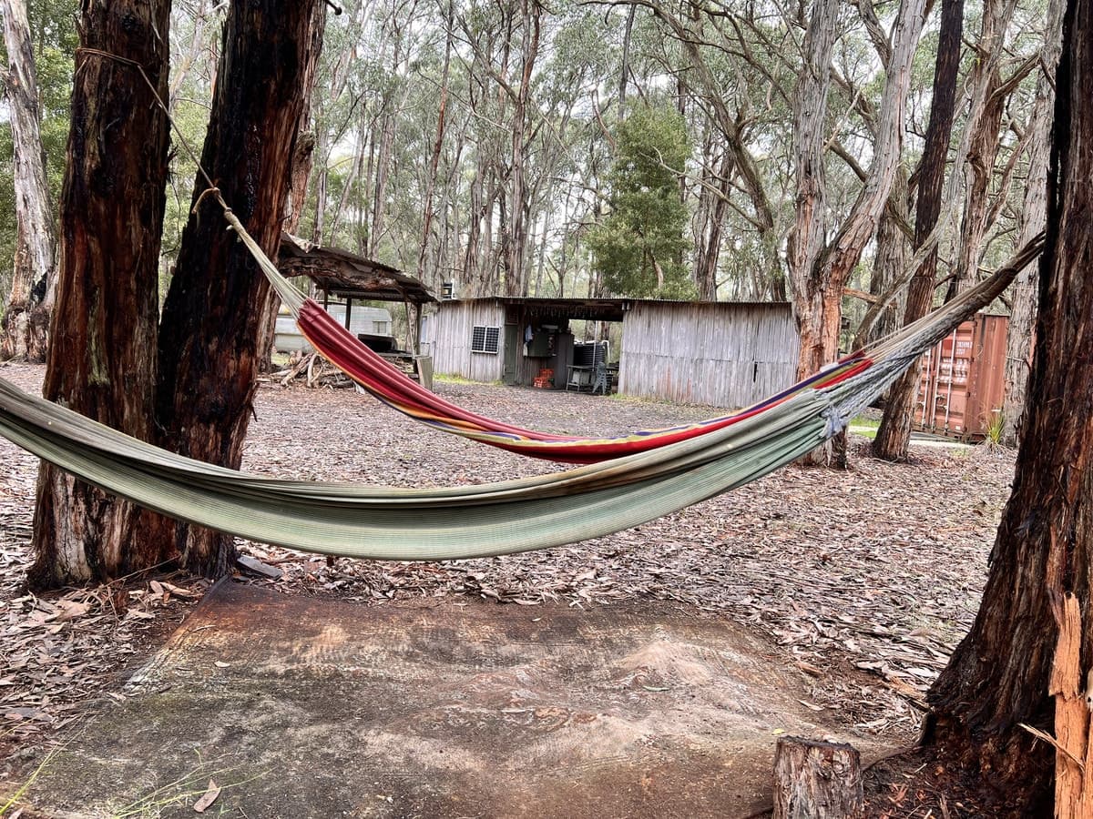 50 Possum Ridge Road, Yeodene, VIC, Yeodene - Thumbnail 4