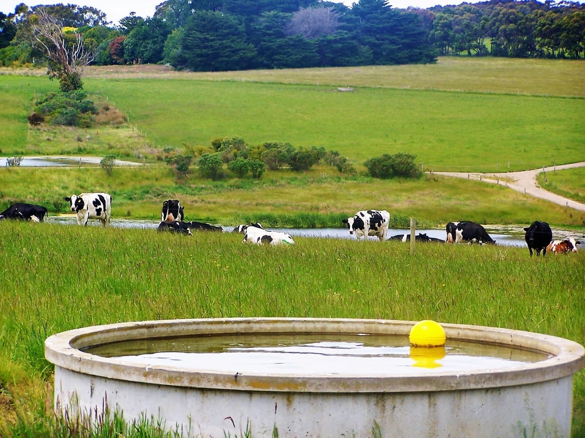 611 Melrose Road, Princetown, VIC, Princetown - Thumbnail 2