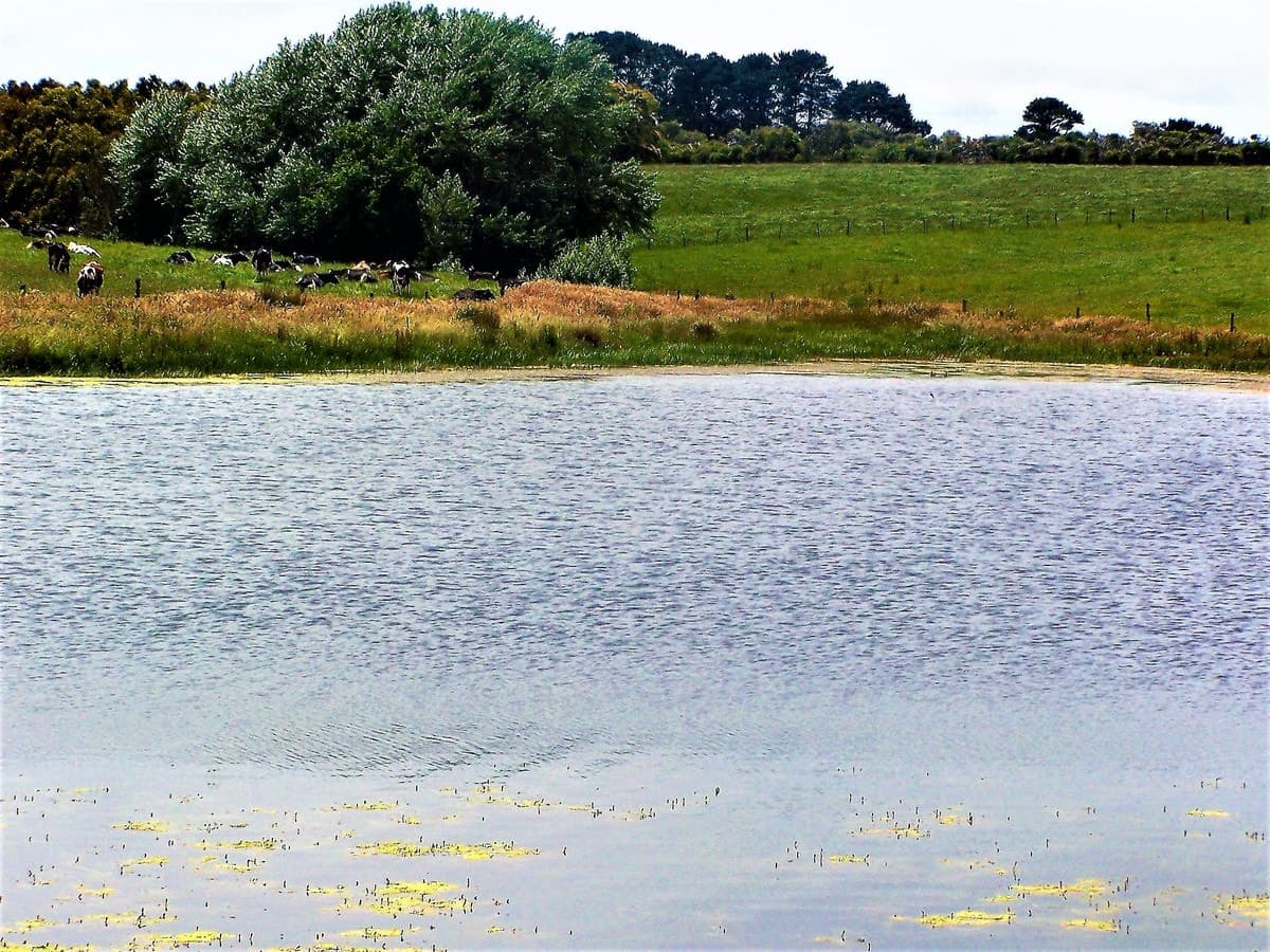 611 Melrose Road, Princetown, VIC, Princetown - Thumbnail 3