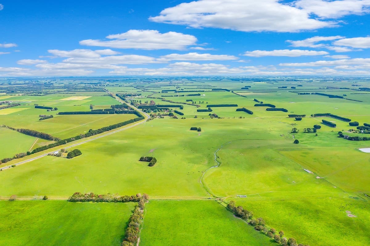 Riordans Road, Ballangeich, VIC, Ballangeich - Thumbnail 3