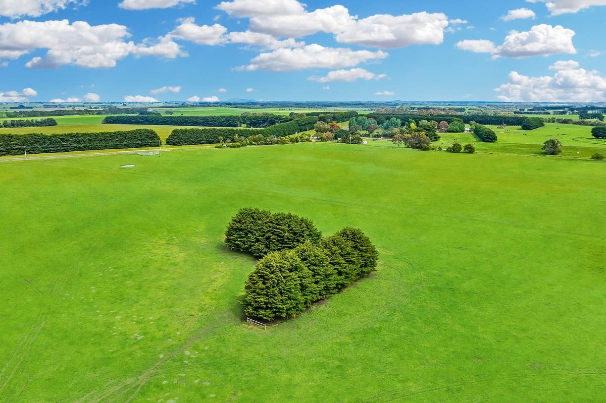 Riordans Road, Ballangeich, VIC, Ballangeich - Thumbnail 8