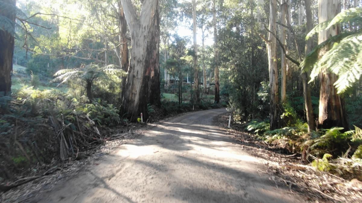 255 Upper Gellibrand Road, Barramunga, VIC, Barramunga - Thumbnail 2