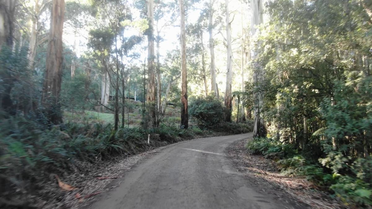 255 Upper Gellibrand Road, Barramunga, VIC, Barramunga - Thumbnail 6