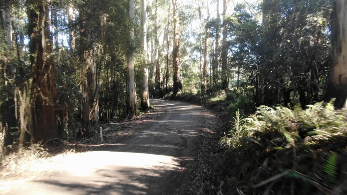 255 Upper Gellibrand Road, Barramunga, VIC, Barramunga - Thumbnail 8