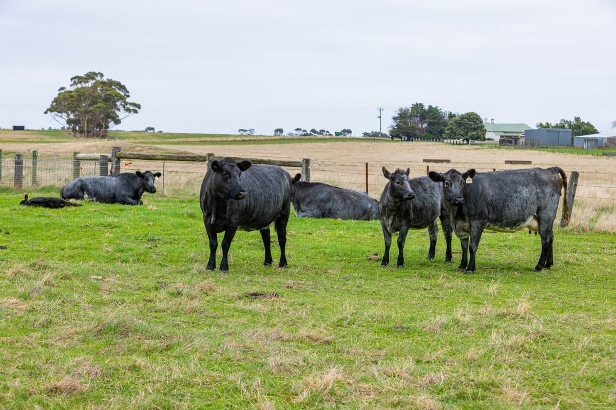 1660 and 1690 Colac-Ballarat Road, Beeac, VIC, Beeac - Thumbnail 3