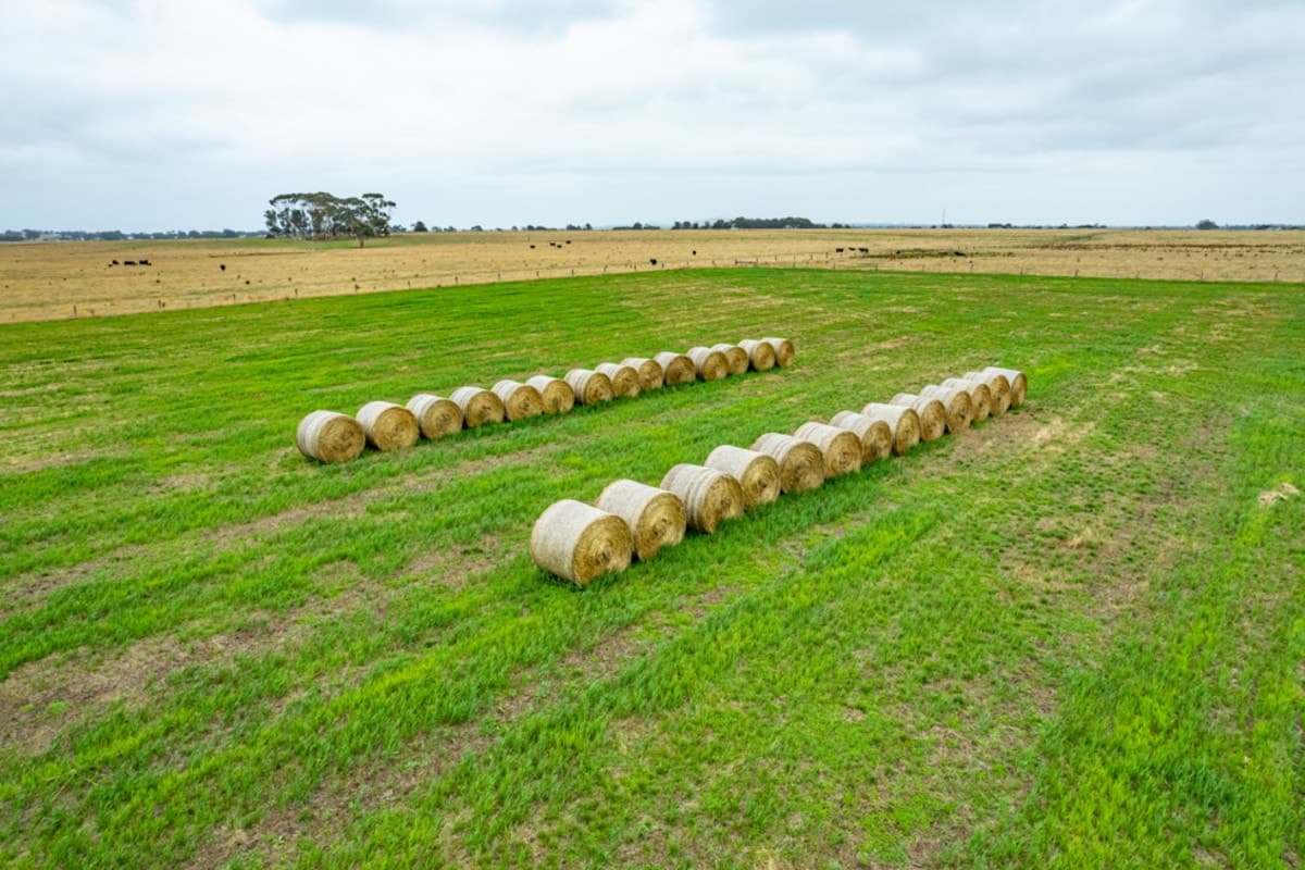 1660 and 1690 Colac-Ballarat Road, Beeac, VIC, Beeac - Thumbnail 4