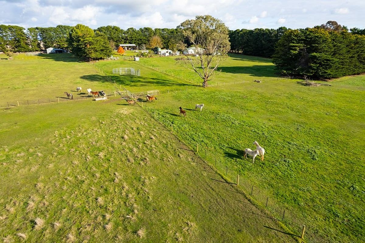 256 Mustons Lane, Caramut, VIC, Caramut - Thumbnail 5