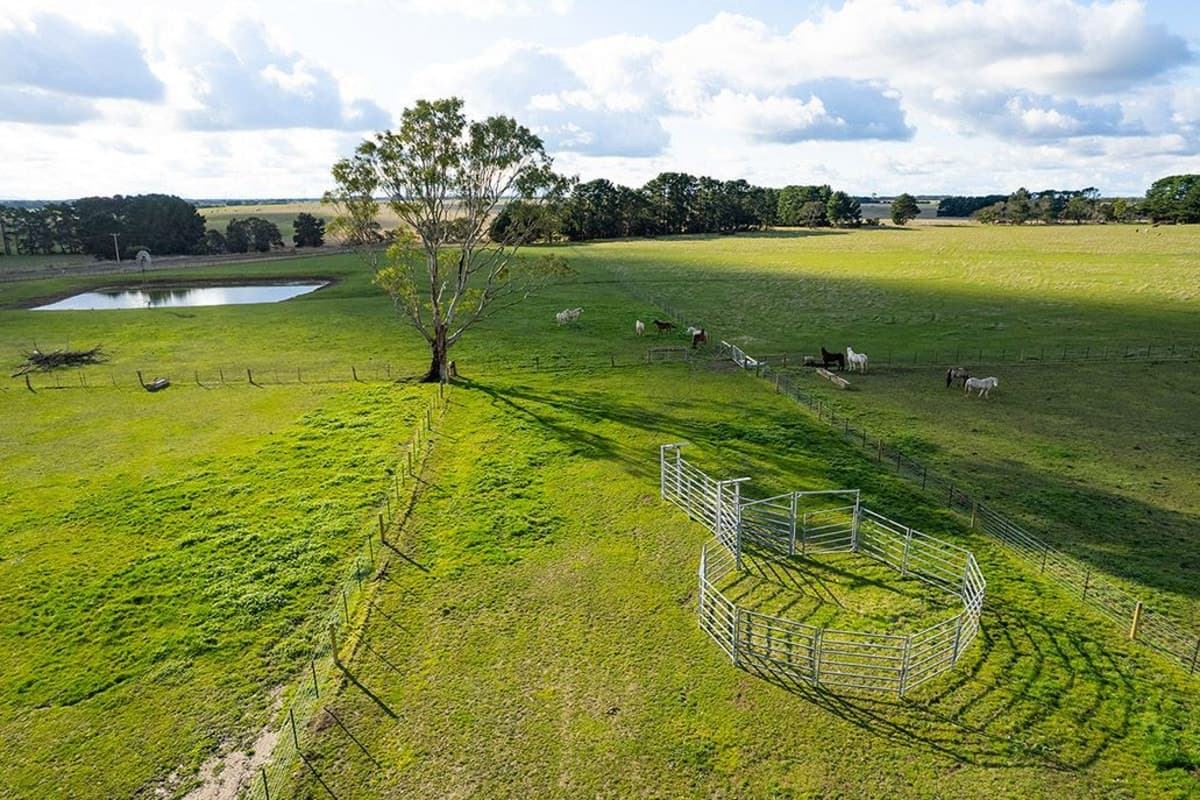 256 Mustons Lane, Caramut, VIC, Caramut - Thumbnail 8
