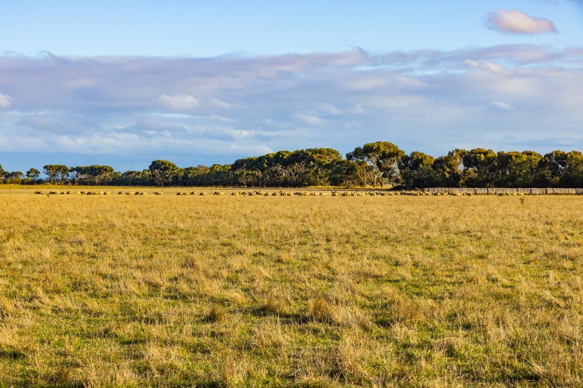 Gnarpurt Road, Leslie Manor, VIC, Leslie Manor - Thumbnail 7
