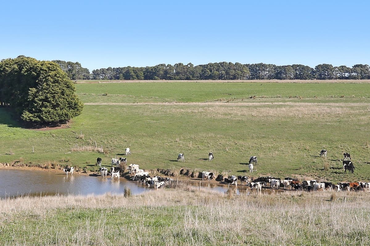 Lot 1 Princetown Road, Simpson, VIC, Simpson - Thumbnail 2
