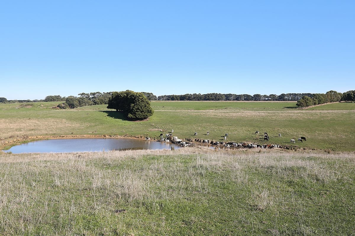 Lot 1 Princetown Road, Simpson, VIC, Simpson - Thumbnail 4