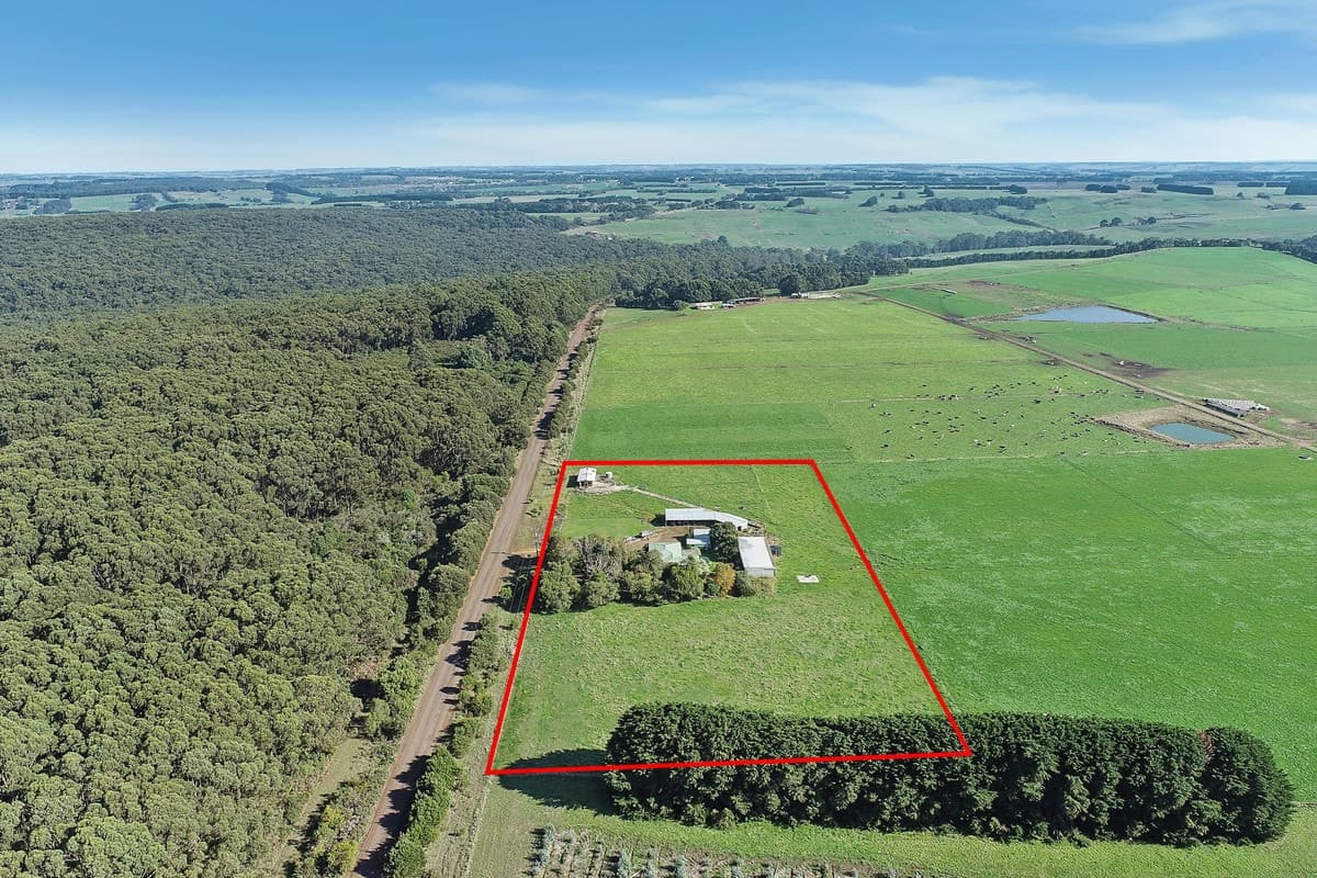 555 Tomahawk Creek Road, Simpson, VIC, Simpson - Thumbnail 5