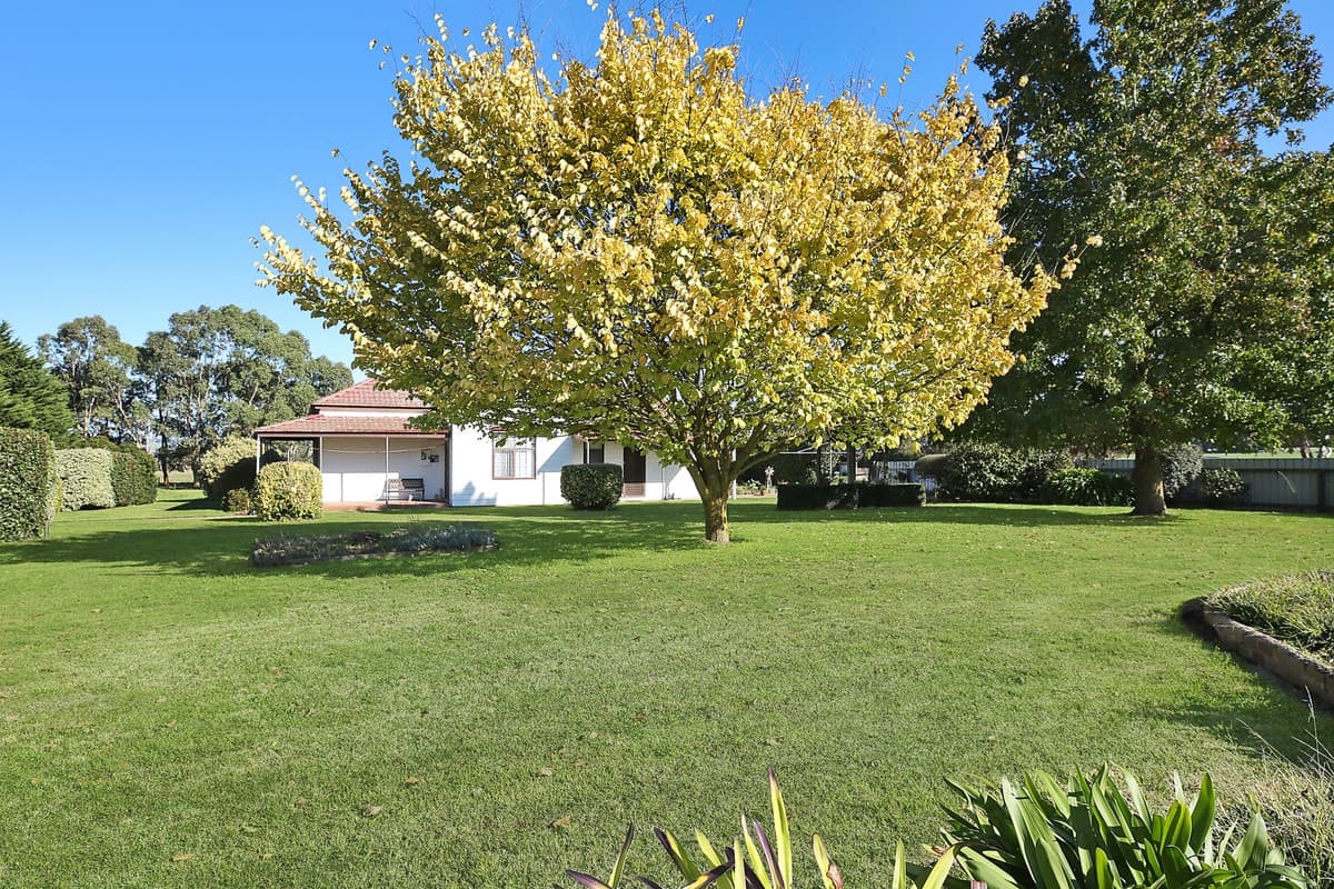 375 Back Larpent Road, Larpent, VIC, Larpent - Thumbnail 3