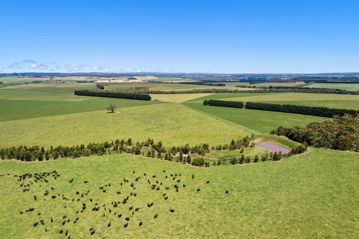 3099 Cape Otway Road, Winchelsea South, VIC, Winchelsea South - Thumbnail 3