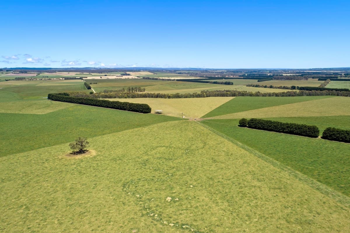 3099 Cape Otway Road, Winchelsea South, VIC, Winchelsea South - Thumbnail 4