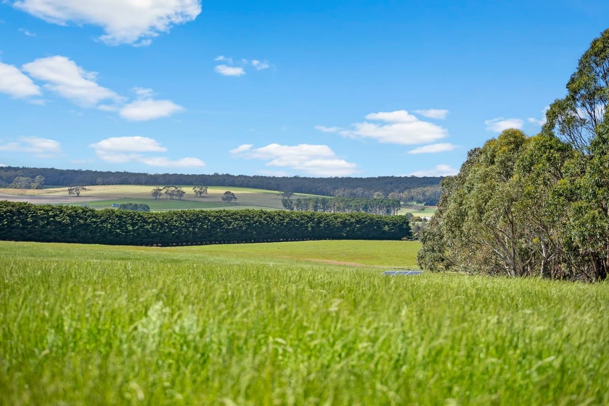 3099 Cape Otway Road, Winchelsea South, VIC, Winchelsea South - Thumbnail 5