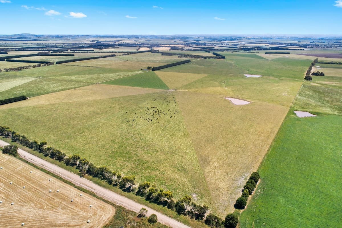 3099 Cape Otway Road, Winchelsea South, VIC, Winchelsea South - Thumbnail 7