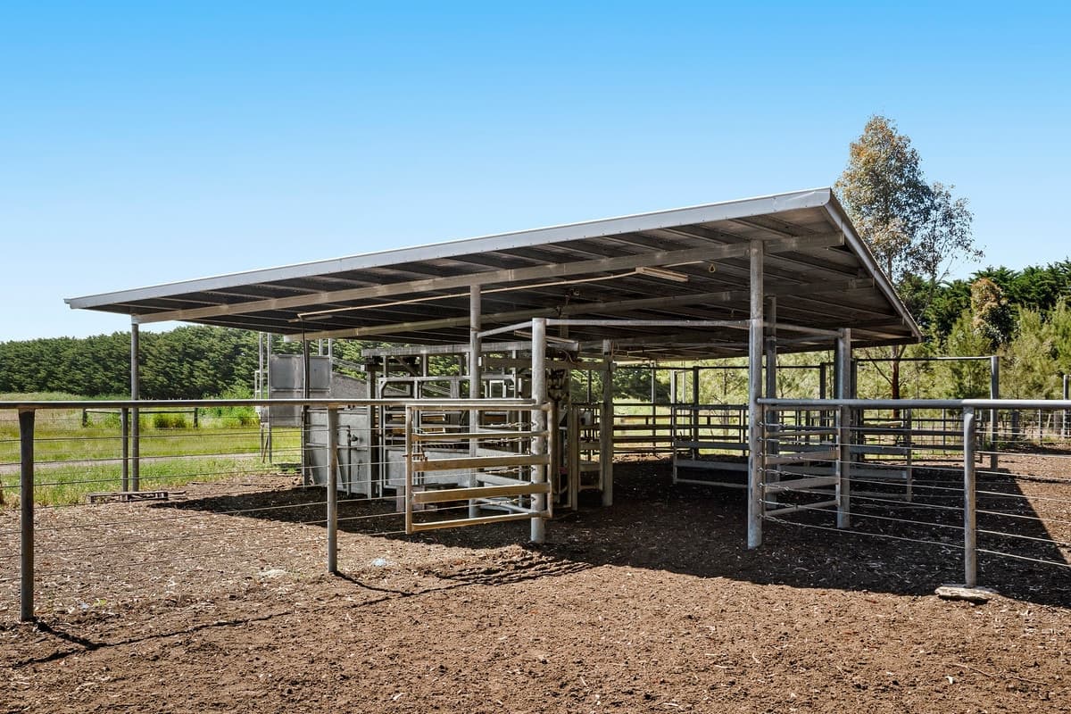 3099 Cape Otway Road, Winchelsea South, VIC, Winchelsea South - Thumbnail 8