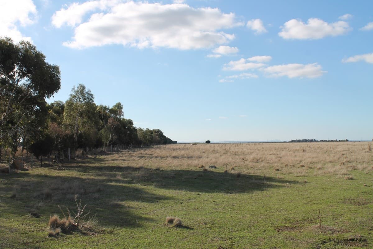 6060 Hamilton Highway, Cressy, VIC, Cressy - Thumbnail 3