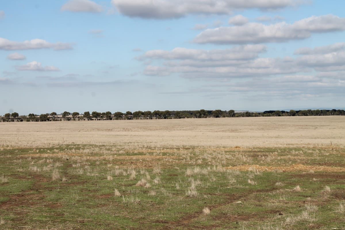 6060 Hamilton Highway, Cressy, VIC, Cressy - Thumbnail 8