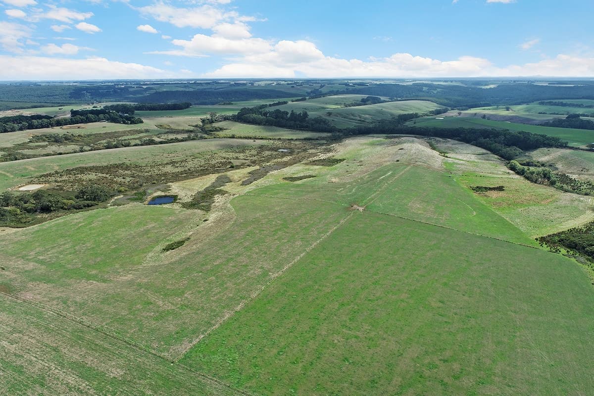 1645 Coradjil Road, Simpson, VIC, Simpson - Thumbnail 2